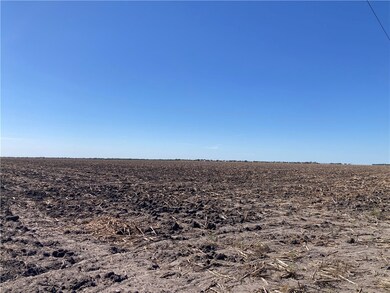~87 Acres County Road 339, Alice, TX 78332 - photo 6