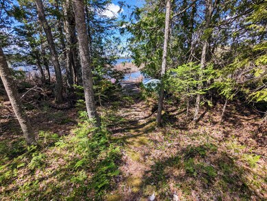 184 Wheaton Rd, Dover Foxcroft, ME 04426 - photo 5