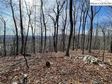 TBD Dr, Crumpler, NC 28617 - photo 5