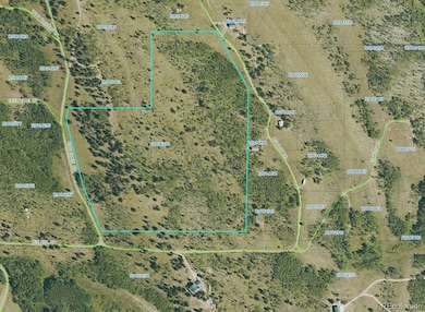 84 Pine Ridge Rd, Fairplay, CO 80440 - photo 2