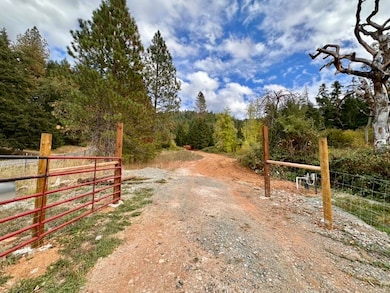 780 Tunnel Rd, Glendale, OR 97442 - photo 6