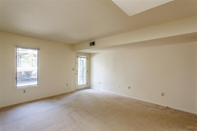 1305 Wertland St unit B1, Charlottesville, VA 22903 - photo 5