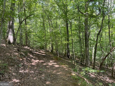 LOT 223 Bowline Dr unit 223, Ellijay, GA 30540 - photo 4