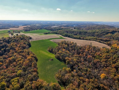 61+/-AC County Road M, Boscobel, WI 53805 - photo 7