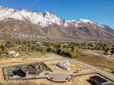 1550 N Eliza Cir Drone_01