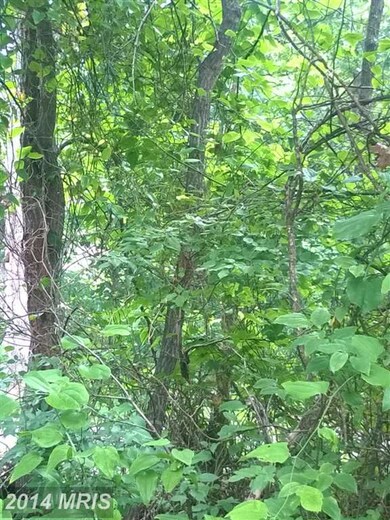 0 Gaither Rd unit 1003084830, Great Cacapon, WV 25422 - photo 7