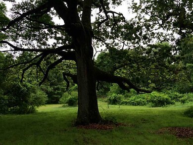 255 Abraham Rd, Riverside, RI 02915 - photo 6