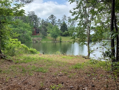 0 Davis Rd, Hamilton, GA 31811 - photo 4