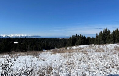Long view