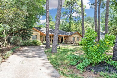 536 W 33rd St, Houston, TX 77018 - photo 3