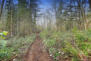 31 58th Ave NW, Stanwood, WA 98292 - photo 6