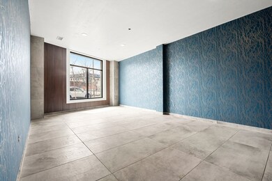 16 Taber St unit 405, Boston, MA 02119 - photo 5