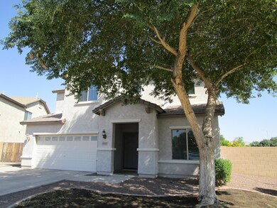Huge Shade Tree