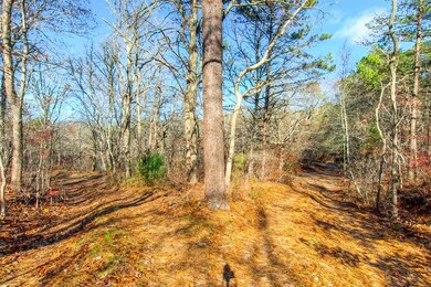 0 Cranberry Acres Way, Tisbury, MA 02568 - photo 2