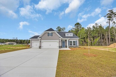 View of front facade with concrete driveway, roof 