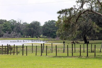 36630 Sunshine Rd, Zephyrhills, FL 33541 - photo 3