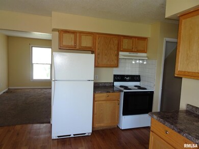 1704 W 53rd St, Davenport, IA 52806 - photo 5