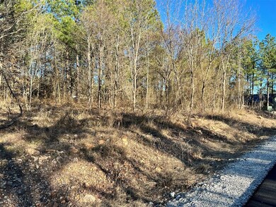 538 Lukfata Fork Trail, Broken Bow, OK 74728 - photo 3