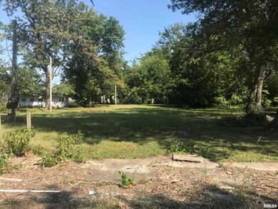 812 N Webster St, Harrisburg, IL 62946 - photo 3