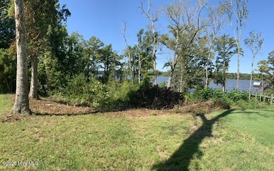 Lot 149R View of Salmon Creek