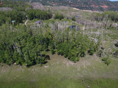 DJI_0246