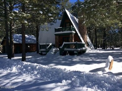 Nice Winter Snow