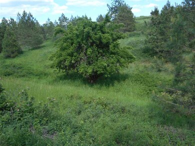 3710 W Crandall Ln, Spokane, WA 99208 - photo 4