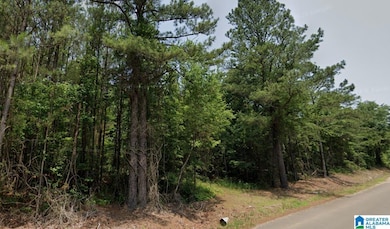 00 Bama Rock Garden Rd, Vance, AL 35490 - photo 2