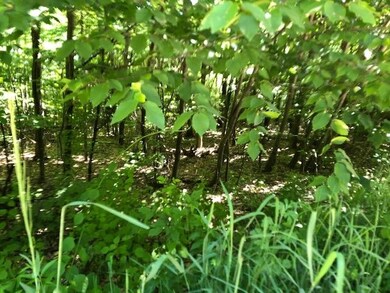 Map7 Chestnut Hill Rd unit 18D, Dublin, NH 03444 - photo 2