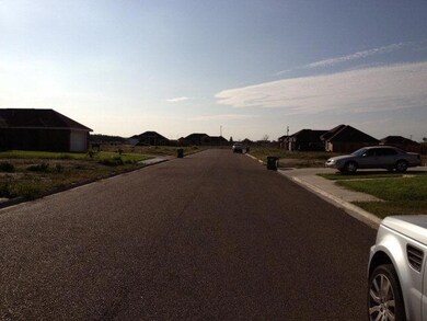 520 Elena Ln, Alamo, TX 78516 - photo 4