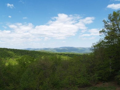 519 Lower Sassafras Pkwy, Jasper, GA 30143 - photo 3