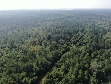 00 Hwy #32 Hwy #99 Tract 2, Brunswick, GA 31523 - photo 7