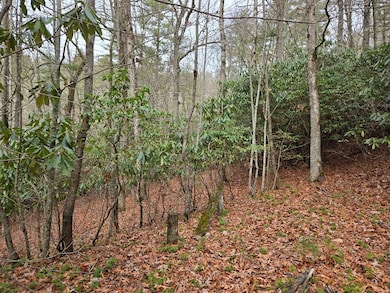 unlisted-address, Tuckasegee, NC 28783 - photo 5