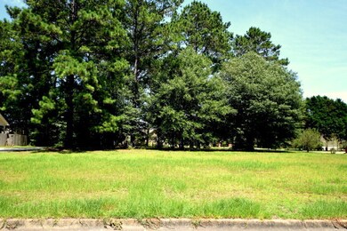 0 Waynesboro Way, Dothan, AL 36305 - photo 2