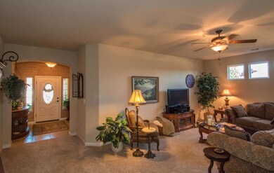 lofty Oak-106