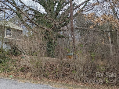 15 Massey Rd, Hendersonville, NC 28792 - photo 4