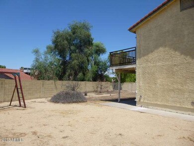 BACKYARD (6)
