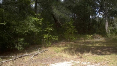 0 Carter Rd, Crawfordville, FL 32327 - photo 6