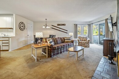 32 Route 103 S unit C3, Ludlow, VT 05149 - photo 6