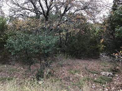 41063 Heartwood Cir, Whitney, TX 76692 - photo 2