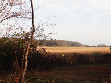4_MorningMarshView
