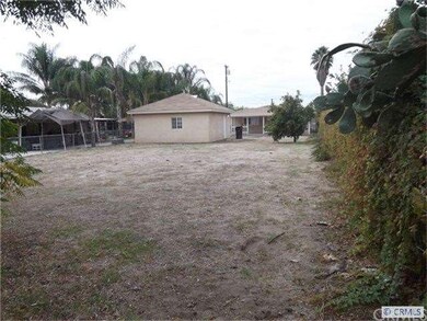 Huge Back Yard
