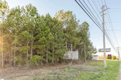 323 Tr B Pearman Dairy Rd, Piedmont, SC 29625 - photo 7