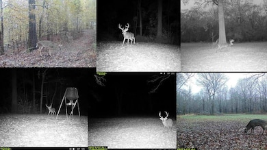 199 Robert Williams Rd, Lorman, MS 39096 - photo 2