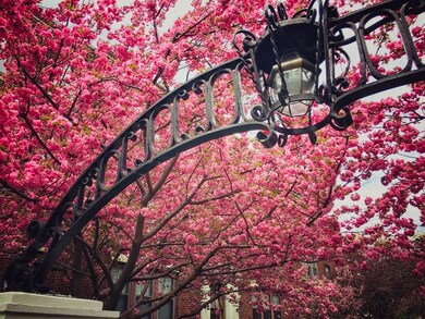 429 Washington St unit 2, Brookline, MA 02446 - photo 3