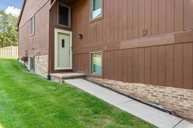 04-503-Echo-Ct-Saline-MI-48176-WindowSti