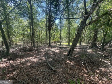 0 Rocky Knob Rd unit 10527508, Sylvania, GA 30467 - photo 6