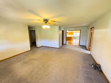 27234 Highway Z, Canton, MO 63435 - photo 5