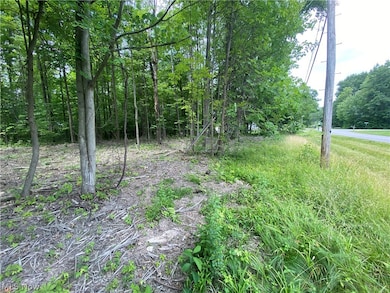 0 Columbia Ln unit 5051479, Roaming Shores, OH 44084 - photo 4