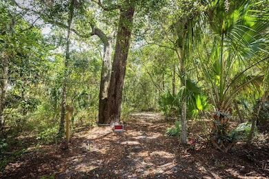00 Pine Island Rd, Nocatee, FL 32081 - photo 2
